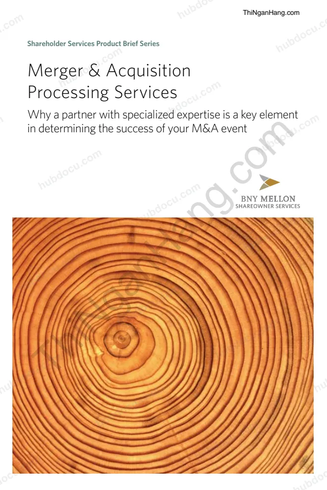 Merger and Acquisition Processing Services