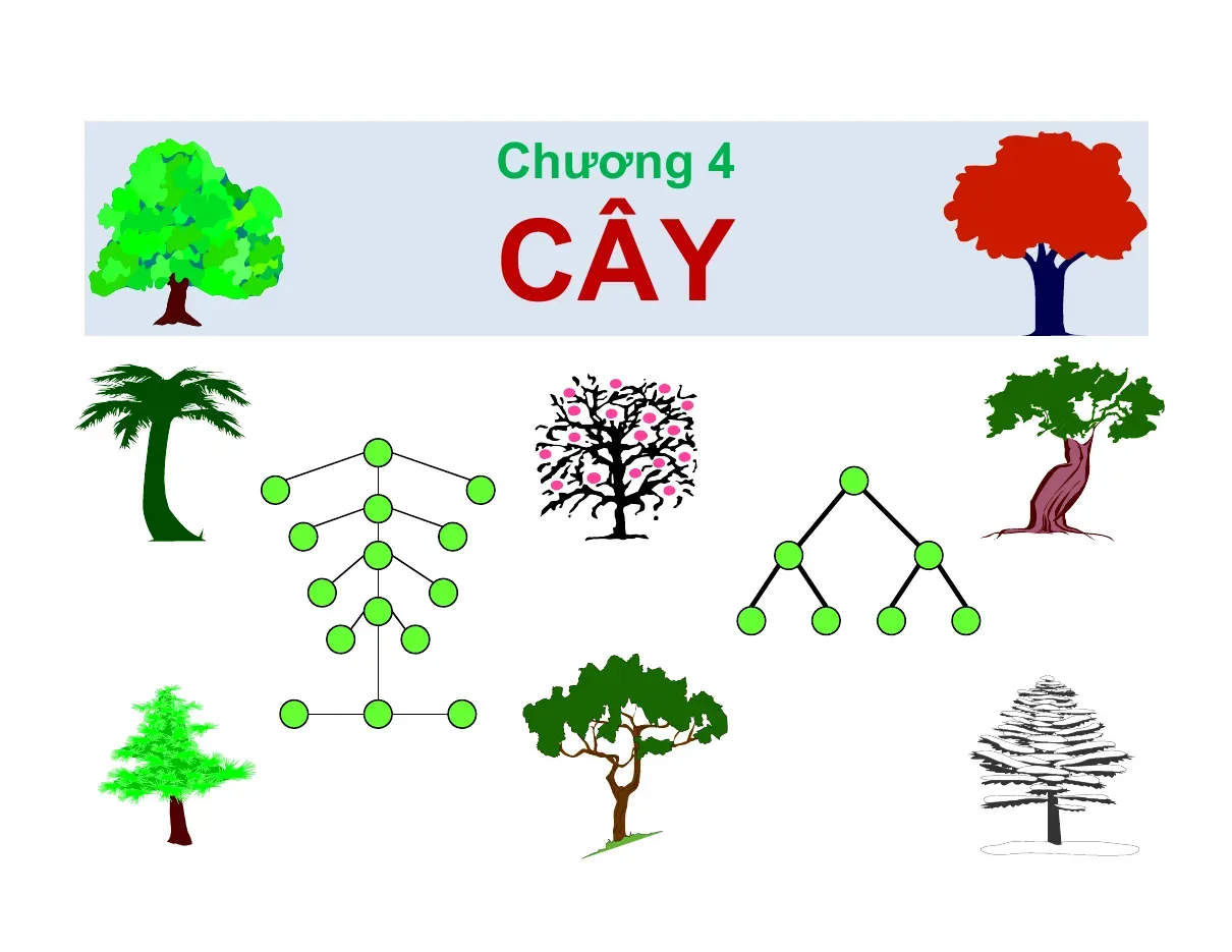Trees (Cây) (Chương 4) - PGS.TS.Nguyễn Đức Nghĩa